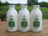 �H�꒼���́u�����ቷ�E�ۋ����v