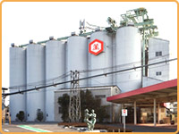 �L�b�R�[�}����c�H��Ƃ��̒m�肵�傤���