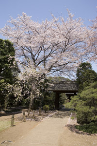 �����������ɂ���j�Ղƍ�