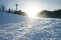 �T�b�|���e�C�l�X�L�[��i���j