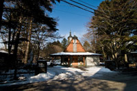 ���j�I�������u���p�E�� �J�g���b�N����v