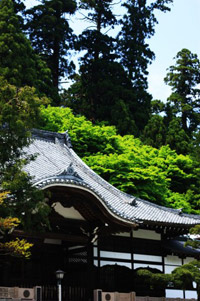 ���j�����Y�R�ŏ掛