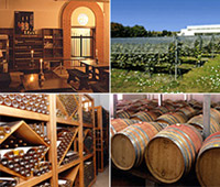 �V�����h�l�̕������A�n���Z���[�A�n����