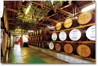 �����ɂ��ό����ӎ�����������