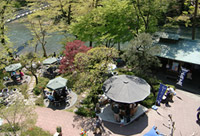 �뉀�U��Ől�C�́u�V�T�䉀�v