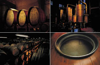 �A���̐����H���̌��w