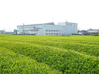 ���ɐV���̋G�߂ɑ�l�C�̃O�����s�A�q�V��