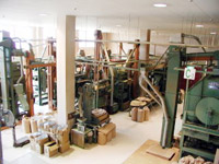 �K���X�z���̐������C�������w