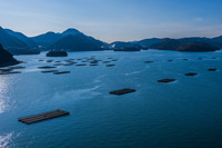 �����i�ЂȂ��j�̃J�L��