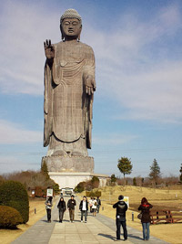 �M�l�X�u�b�N�ɂ��ڂ�u���v�啧�v