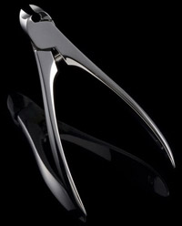 �l�C���A�[�e�B�X�g��������ܐ؂�