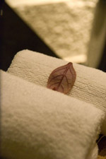 �z�ƃt�@�b�V����