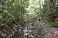 ���R�Ƌ��Ɋy���ނȂ�