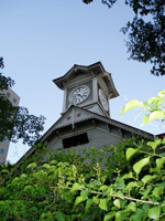 �D�y ���v��